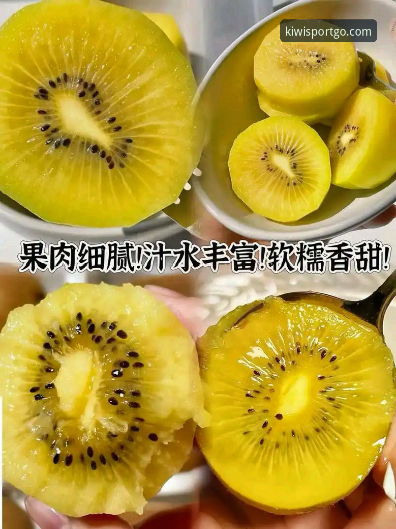 为什么越来越多的用户关注奇异果体育怎么样？2026新版体验全解析