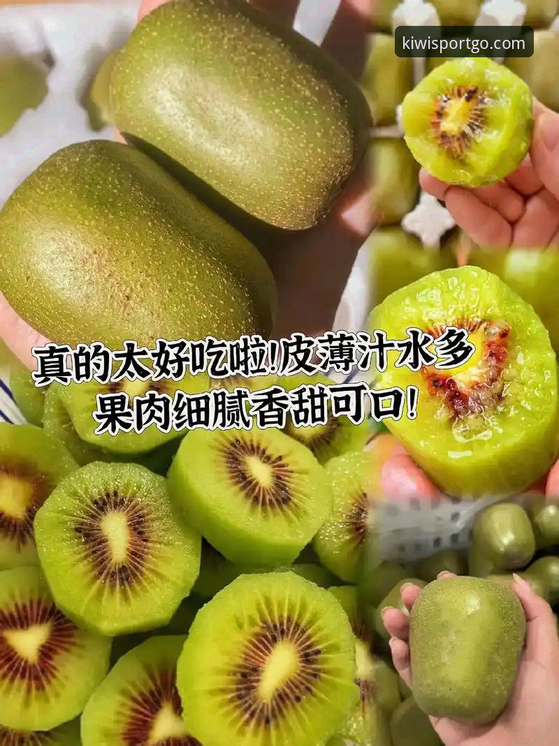 奇异果体育平台2026新版深度分析：技术评测与使用体验全面解析